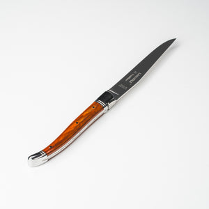 Steakkniv Stamina Orange med 2 stålkraver